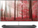 LG OLED65W8