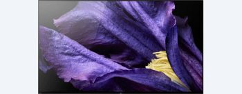 Die besten 65 Zoll Fernseher 2019