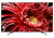 Sony KD-85XG8596